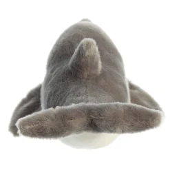 Aurora® - Eco Nation - 15