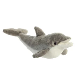 Aurora® - Eco Nation - 15