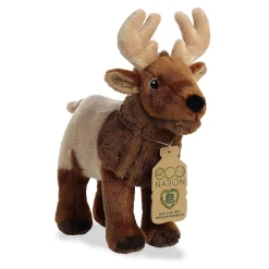 Aurora® - Eco Nation - 10.5