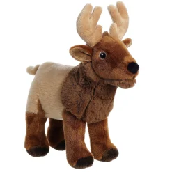 Aurora® - Eco Nation - 10.5