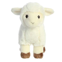 Aurora® - Eco Nation - 8