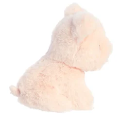 Aurora® - Eco Nation - 5