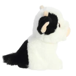 Aurora® - Eco Nation - 5