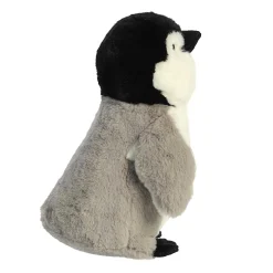 Aurora® - Eco Nation - 9.5