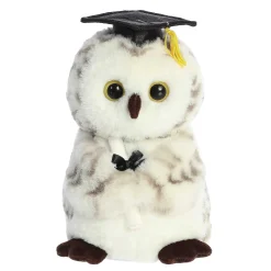 Aurora® - Graduation - 9