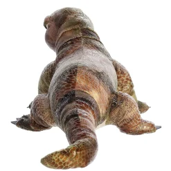 Aurora® - Miyoni® - 20