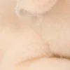 Aurora® - Miyoni® - Pig