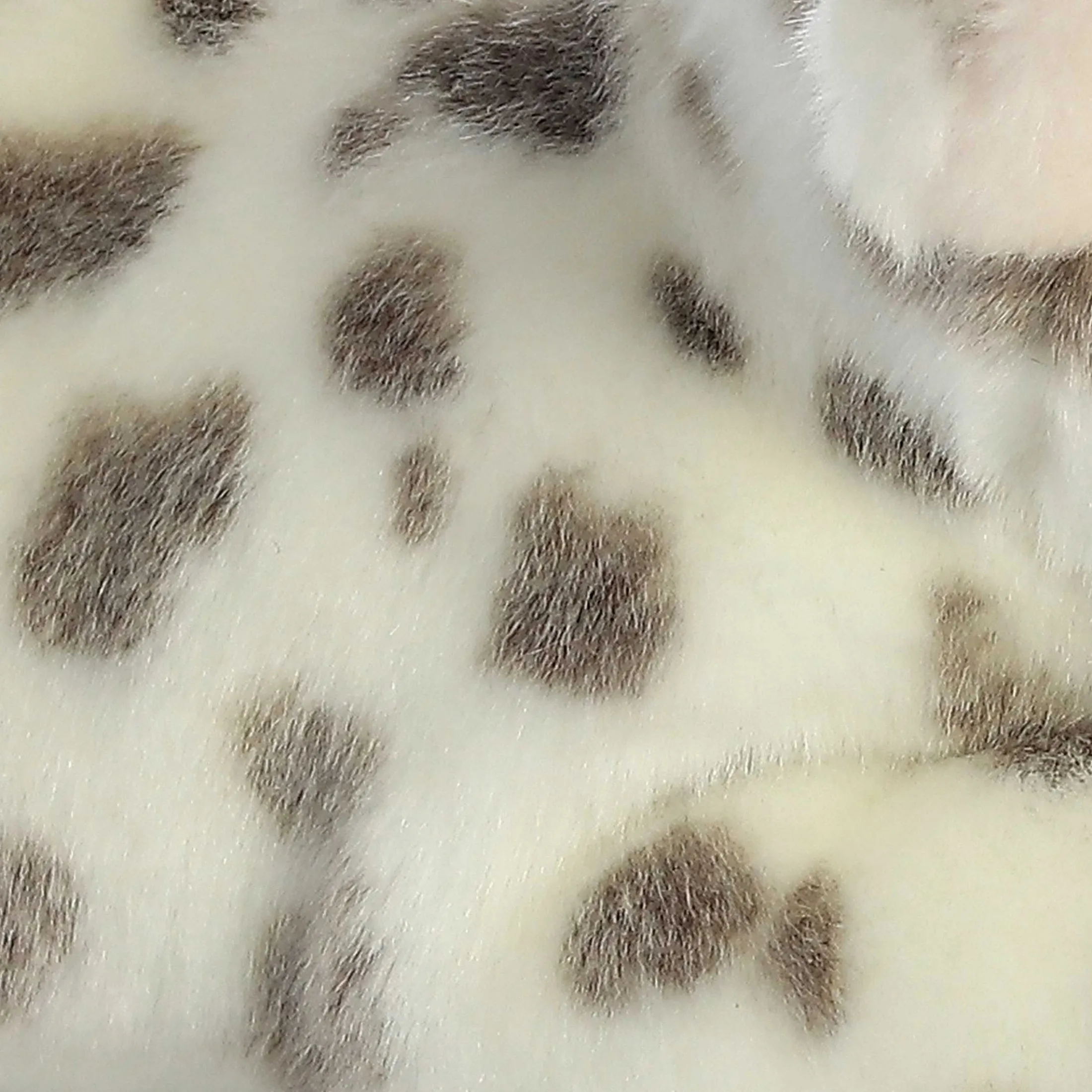 Aurora® - Miyoni® - Spotted Piglet