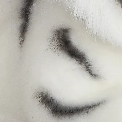 Aurora® - Miyoni® - White Tiger