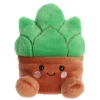 Aurora® - Palm Pals - 5" Gigi Succulent