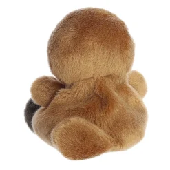 Aurora® - Palm Pals - 5