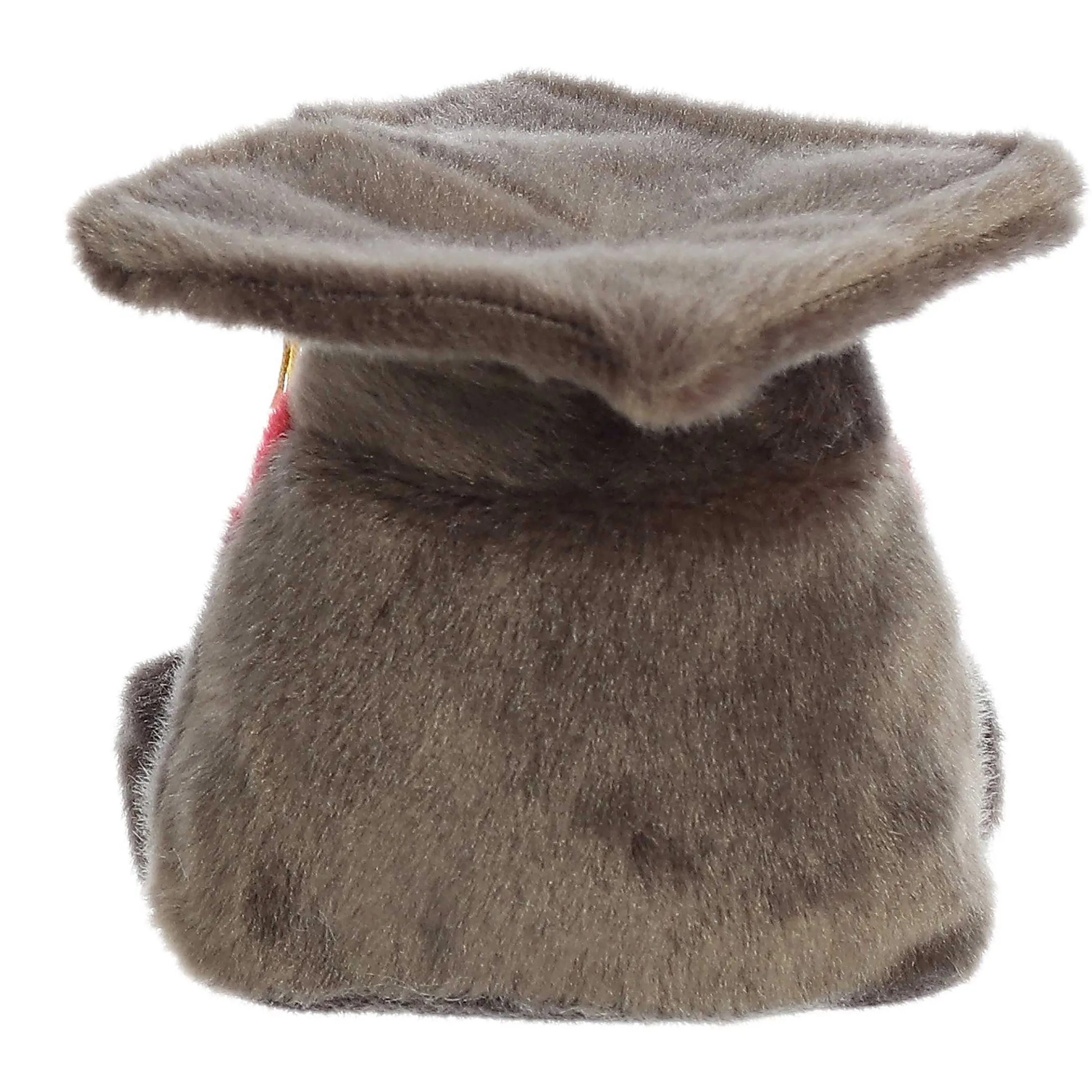 Aurora® - Palm Pals - 5" Scholarly Graduation Cap