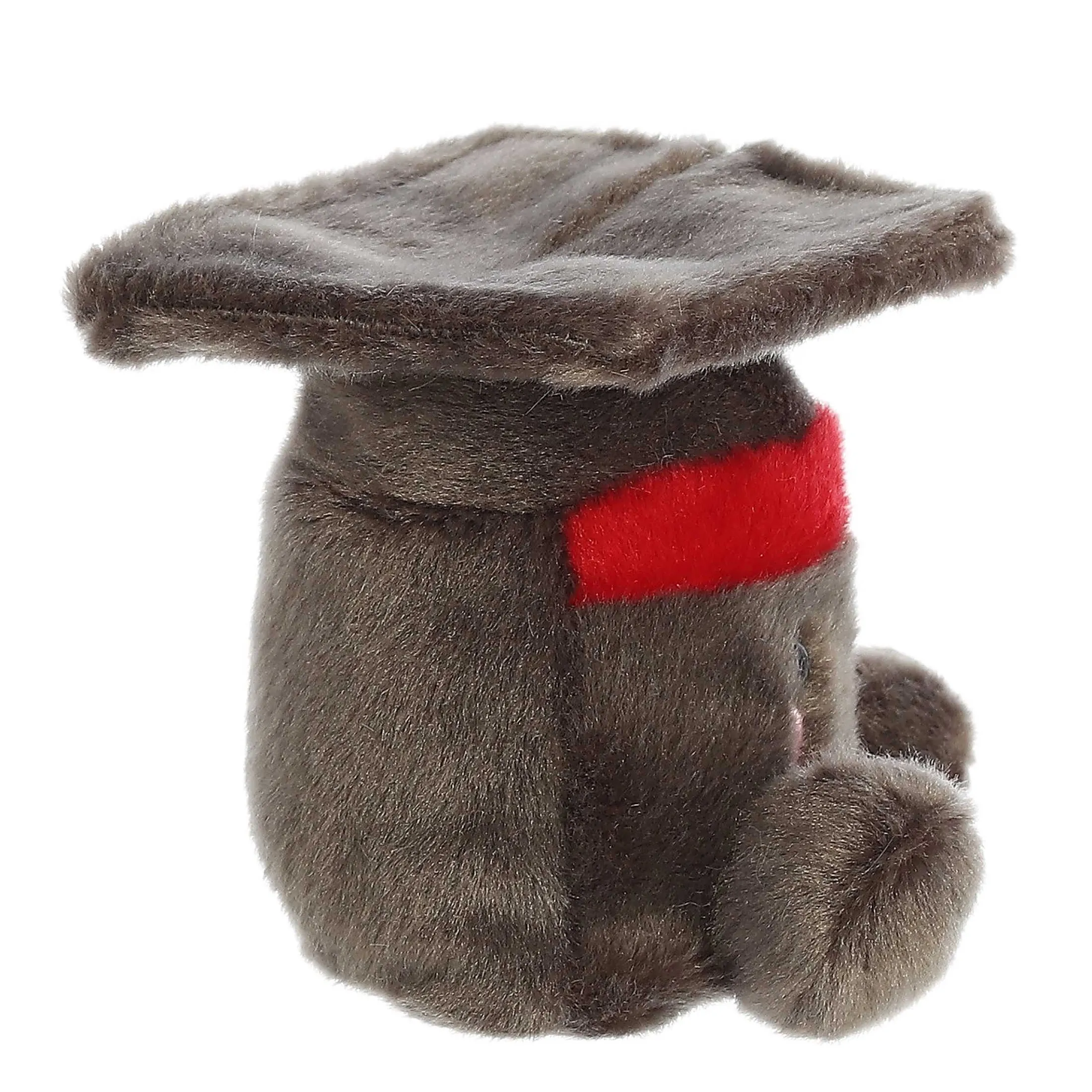 Aurora® - Palm Pals - 5" Scholarly Graduation Cap