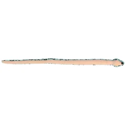 Aurora® - Snake - 50" Aqua Pit Viper