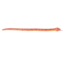 Aurora® - Snake - 51