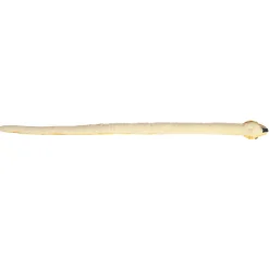 Aurora® - Snake - 50" Mango Corn Snake