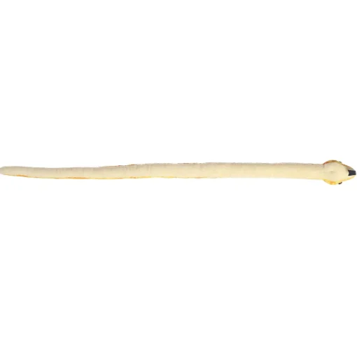 Aurora® - Snake - 50" Mango Corn Snake