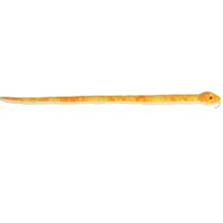 Aurora® - Snake - 50